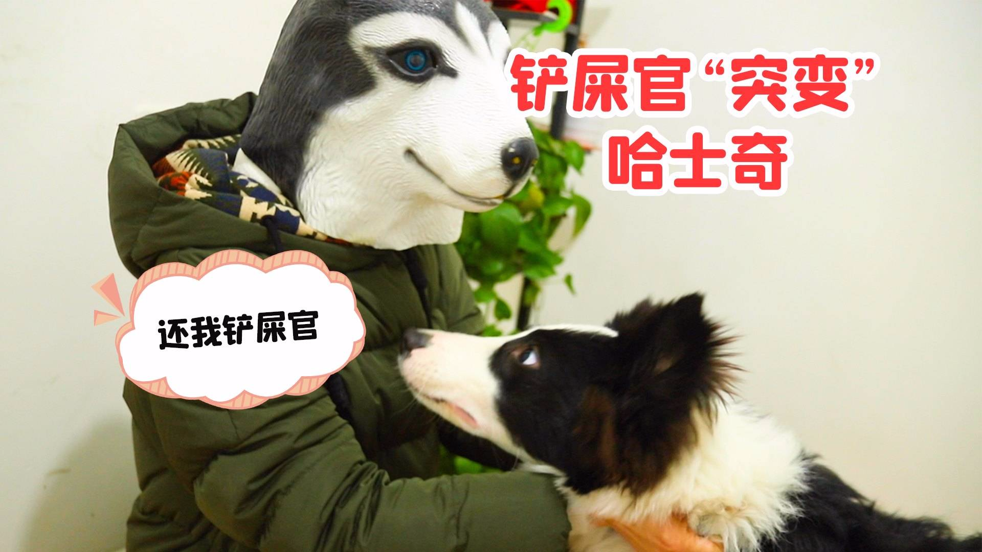 狗界最聪明地狗狗,竟然分不清楚真狗还是假狗,这智商表示堪忧